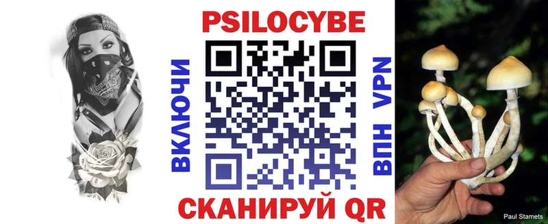 закладка  Горячеводский  Галлюциногенные грибы мухоморы 